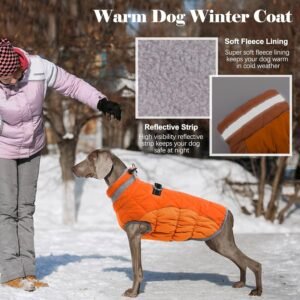 Dog Winter Coat