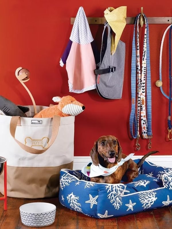 8789a9_8c5826de0f5a4d7b831bfc56d94007aa_mv2 8789a9_8c5826de0f5a4d7b831bfc56d94007aa_mv2